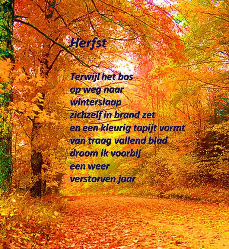 Wat Is Herfst In Het Engels