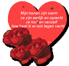 Liefde Overwint Alles In Het Latijns