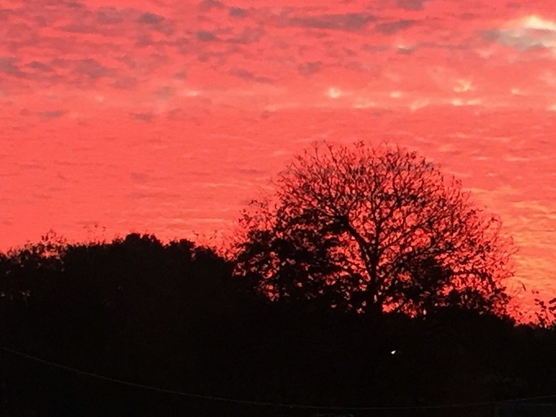Morgenrood, water in de sloot? - Uddel Info - Morgenrood Water In De Sloot