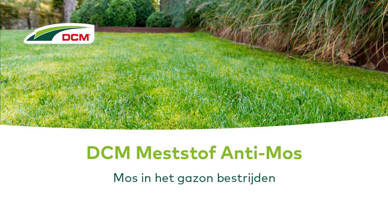 Mos Bestrijden In Gazon Ijzersulfaat