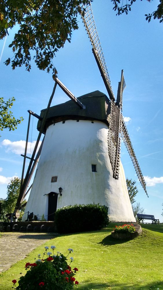 Mühle in Reken Foto & Bild | jahreszeiten, sommer, natur Bilder auf - Reken Examen Mbo 4 2024