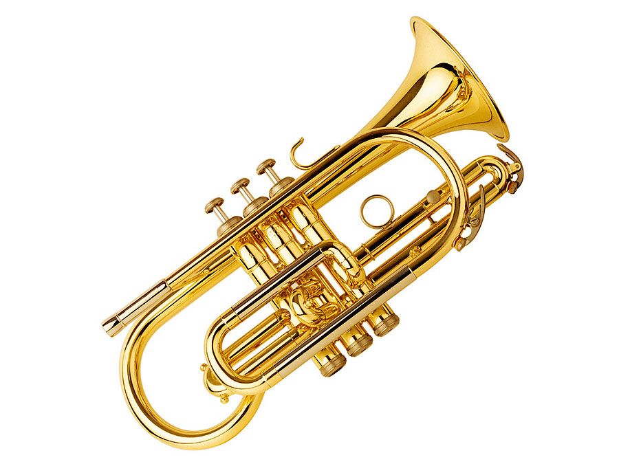 Musical Instruments Quiz | Britannica - Instrument Om Mee Te Hechten