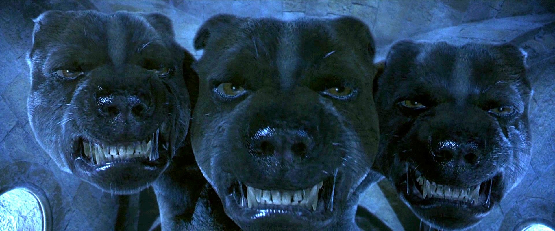 Harry Potter 3 Koppige Hond