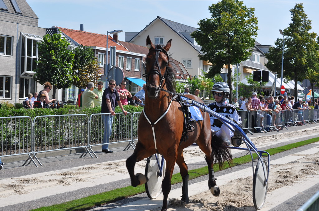 Naar de paardenrace | t Hoofddorp | Alexander Meijer | Flickr - Hoe Heet Het Wagentje Bij Paardenraces