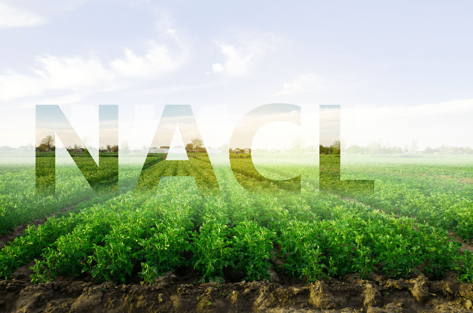 NACL - Intranet - Hoeveel Nacl Doorspoelen Na Morfine