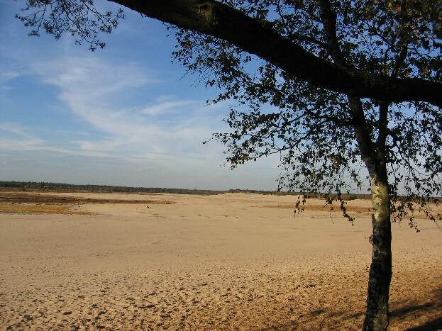 Nationaal Park De Loonse En Drunense Duinen