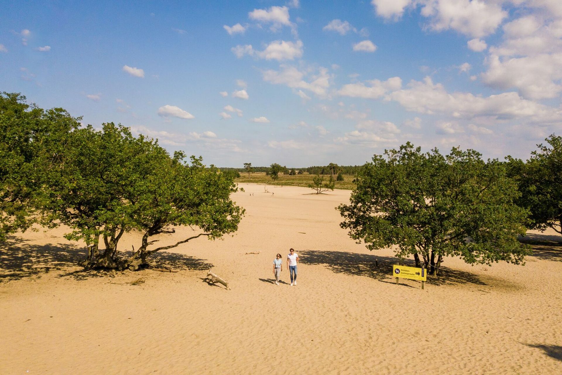 Nationaal Park Loonse en Drunense Duinen - Nationaal Park Loonse En Drunense Duinen