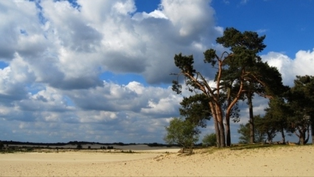 Nationaal Park Loonse En Drunense Duinen