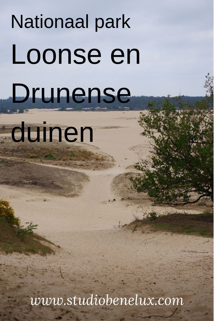 Nationaal park loonse en drunense duinen nl – Artofit - Nationaal Park Loonse En Drunense Duinen