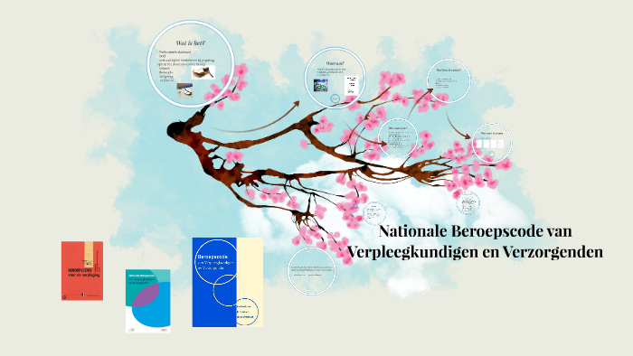 Beroepscode Van Verpleegkundigen En Verzorgenden