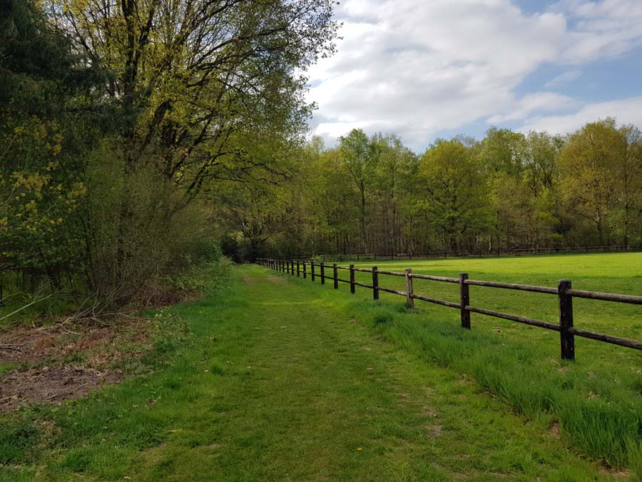 Natuurbegraafplaats Bos van de Heilige Geest - Bos Van De Heilige Geest