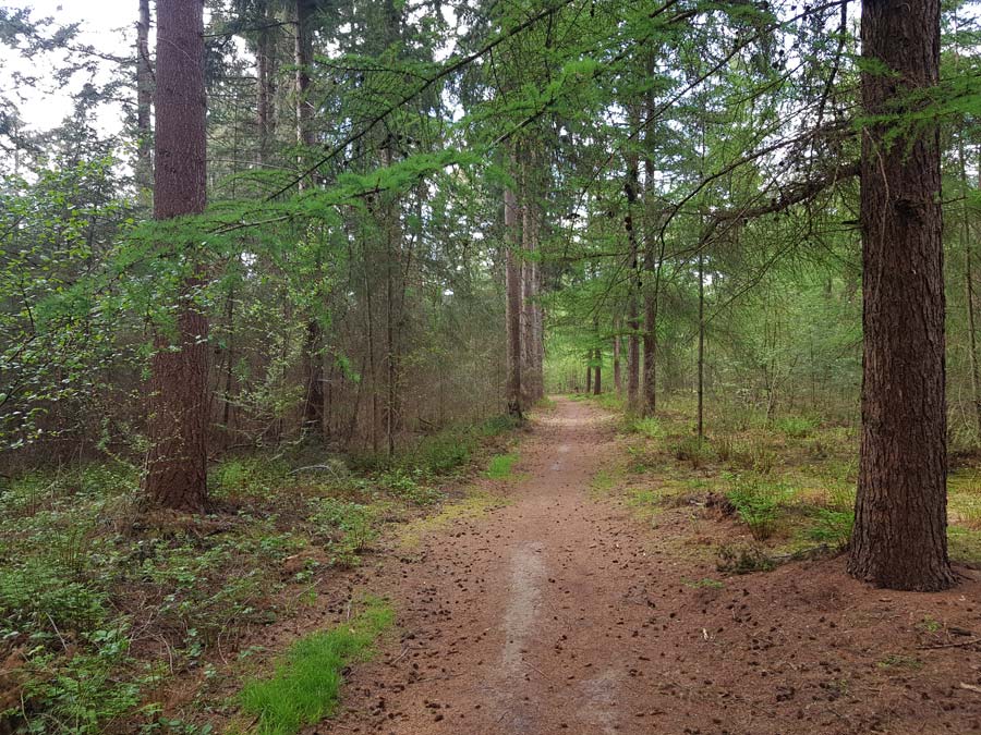 Natuurbegraafplaats Bos van de Heilige Geest - Bos Van De Heilige Geest