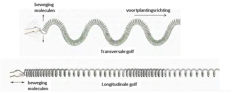 Transversale Golf En Longitudinale Golf
