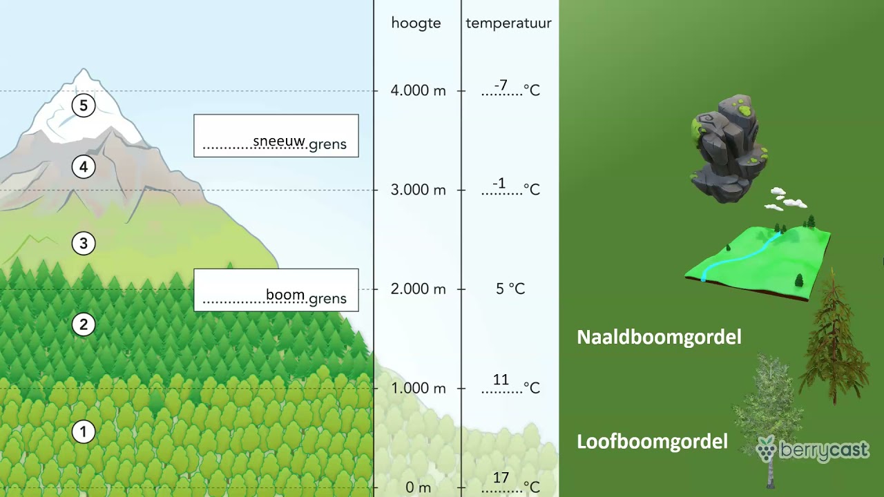 Hoe Hoog Is Het Andesgebergte