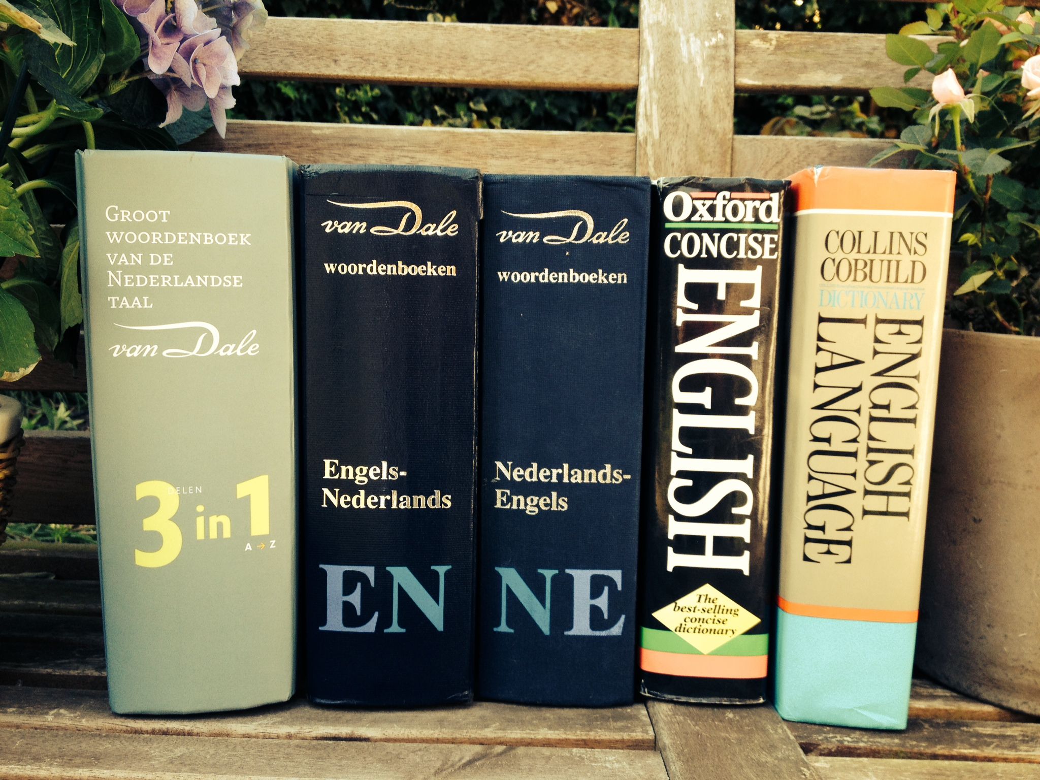 Nederlands Engels Vertalen - Woordenboek Engels Naar Nederlands Zinnen