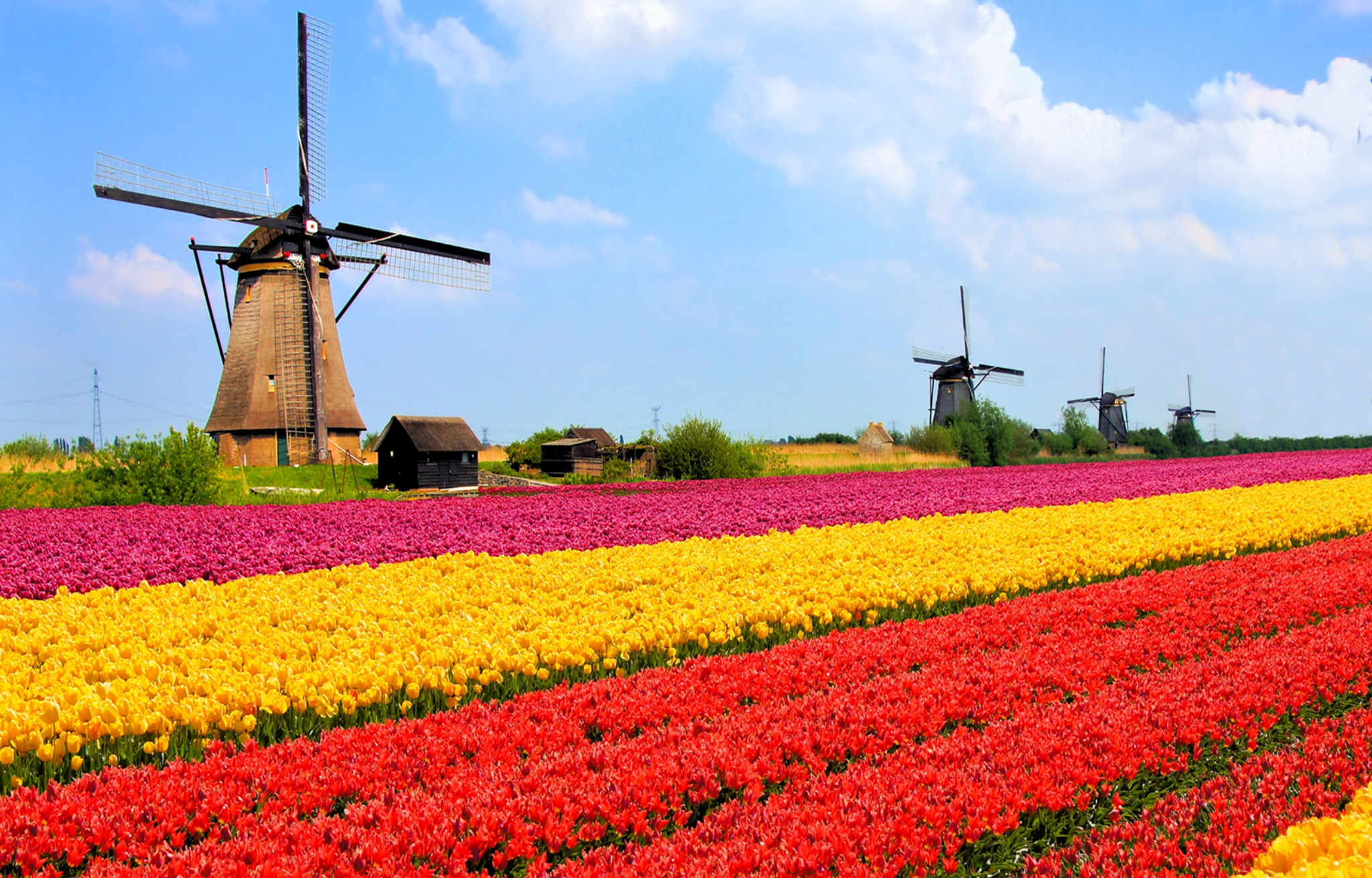Netherlands - Those Travel Guys - Wat Is De Nederlandse Cultuur
