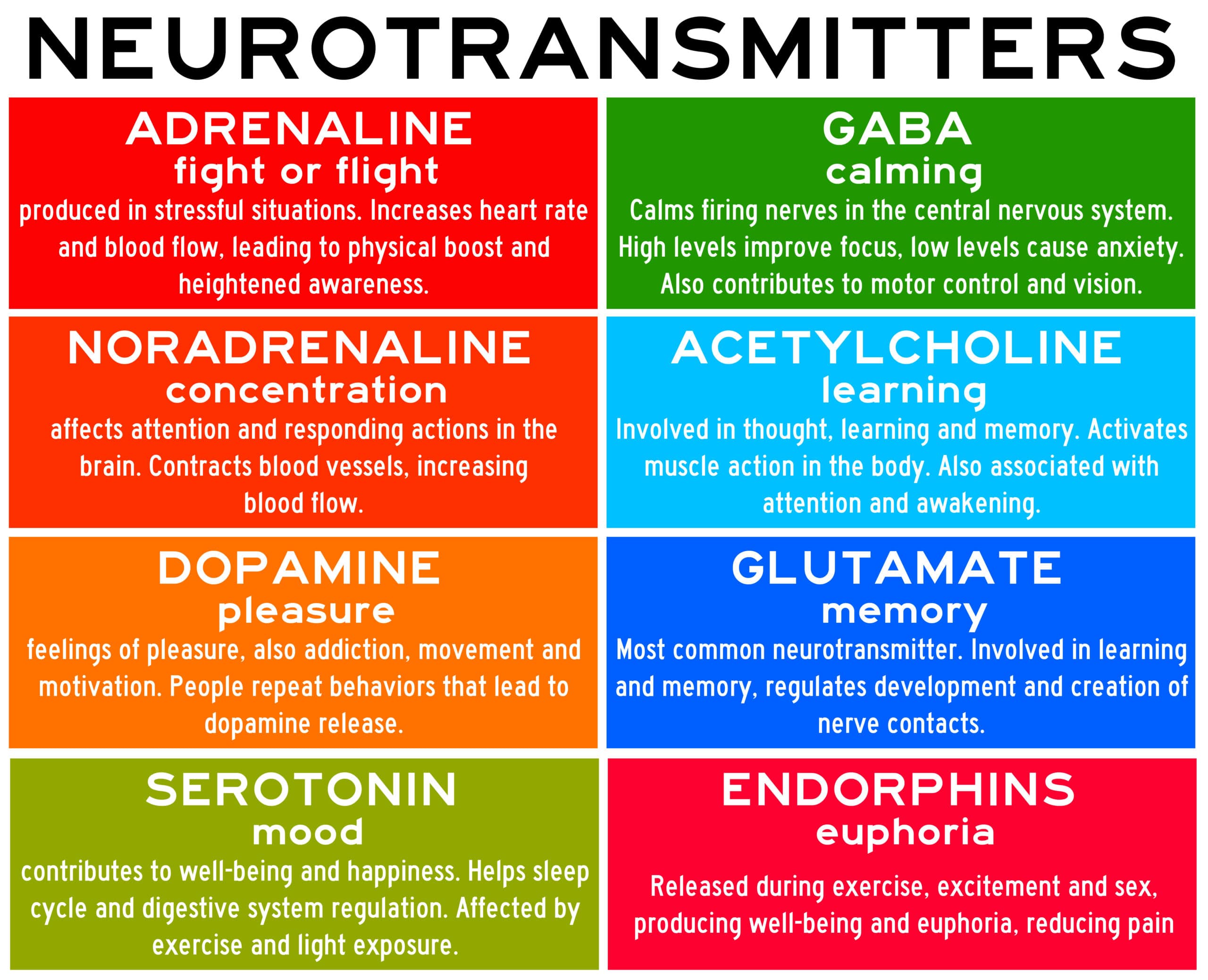 Op Welke Neurotransmitter Hebben Antipsychotica Met Name Invloed