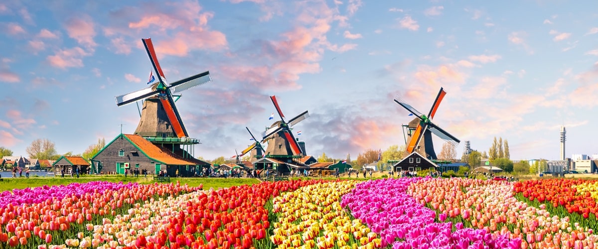 Holland And Barrett Gratis Verzending