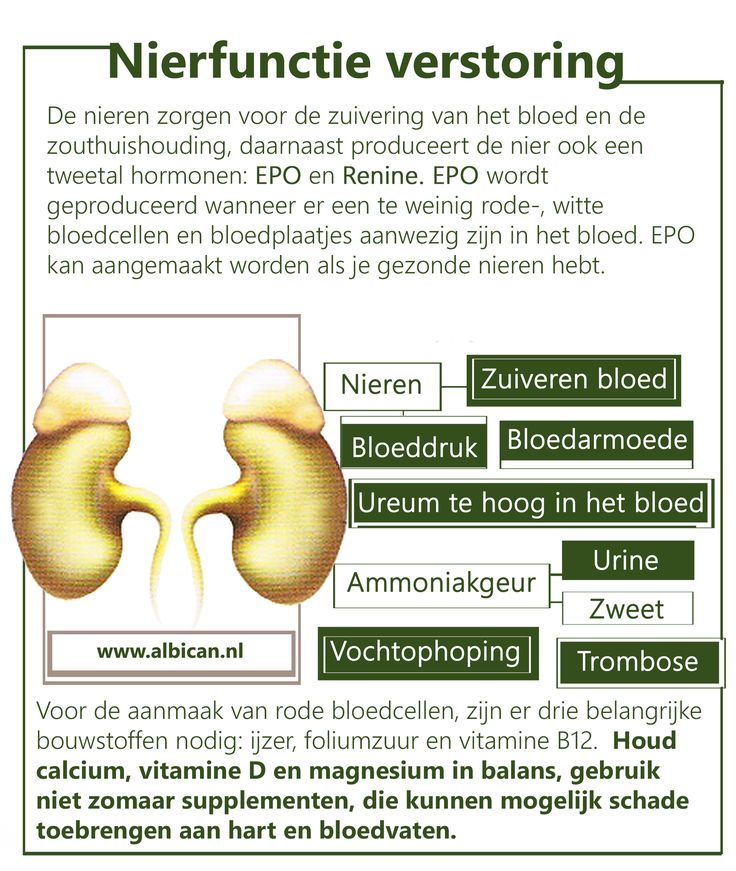 Eiwitten En Bloed In Urine