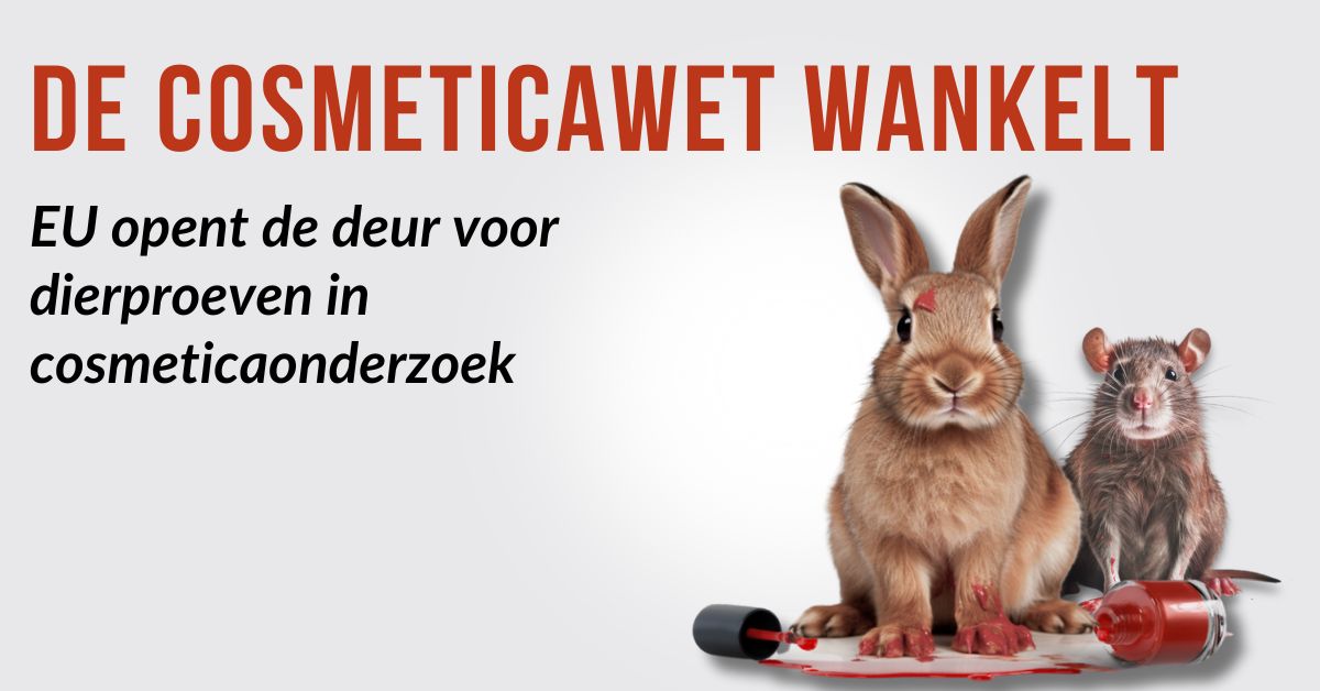 Noodkreet – Europese Hofuitspraak opent deur voor dierproeven in - Dierproeven Argumenten Voor En Tegen