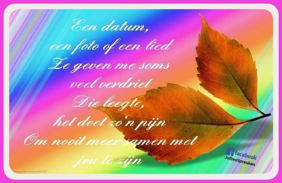 Gedicht Nooit Meer Samen
