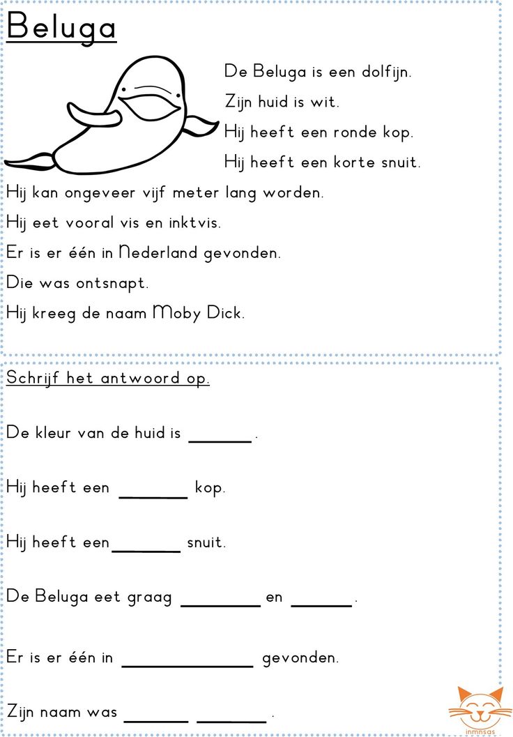 Begrijpend Lezen Tekst Groep 7