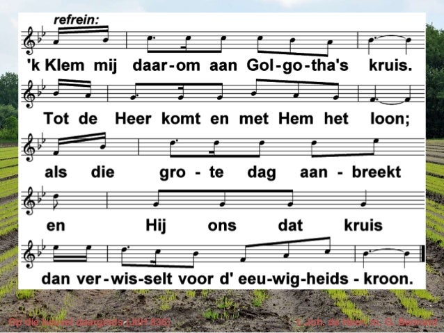 Tekst Johannes De Heer