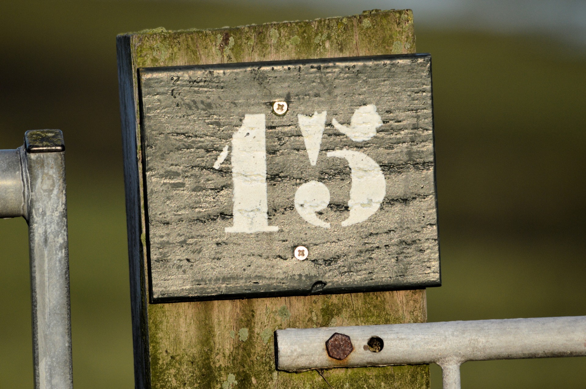 15 Weken Is Hoeveel Maanden