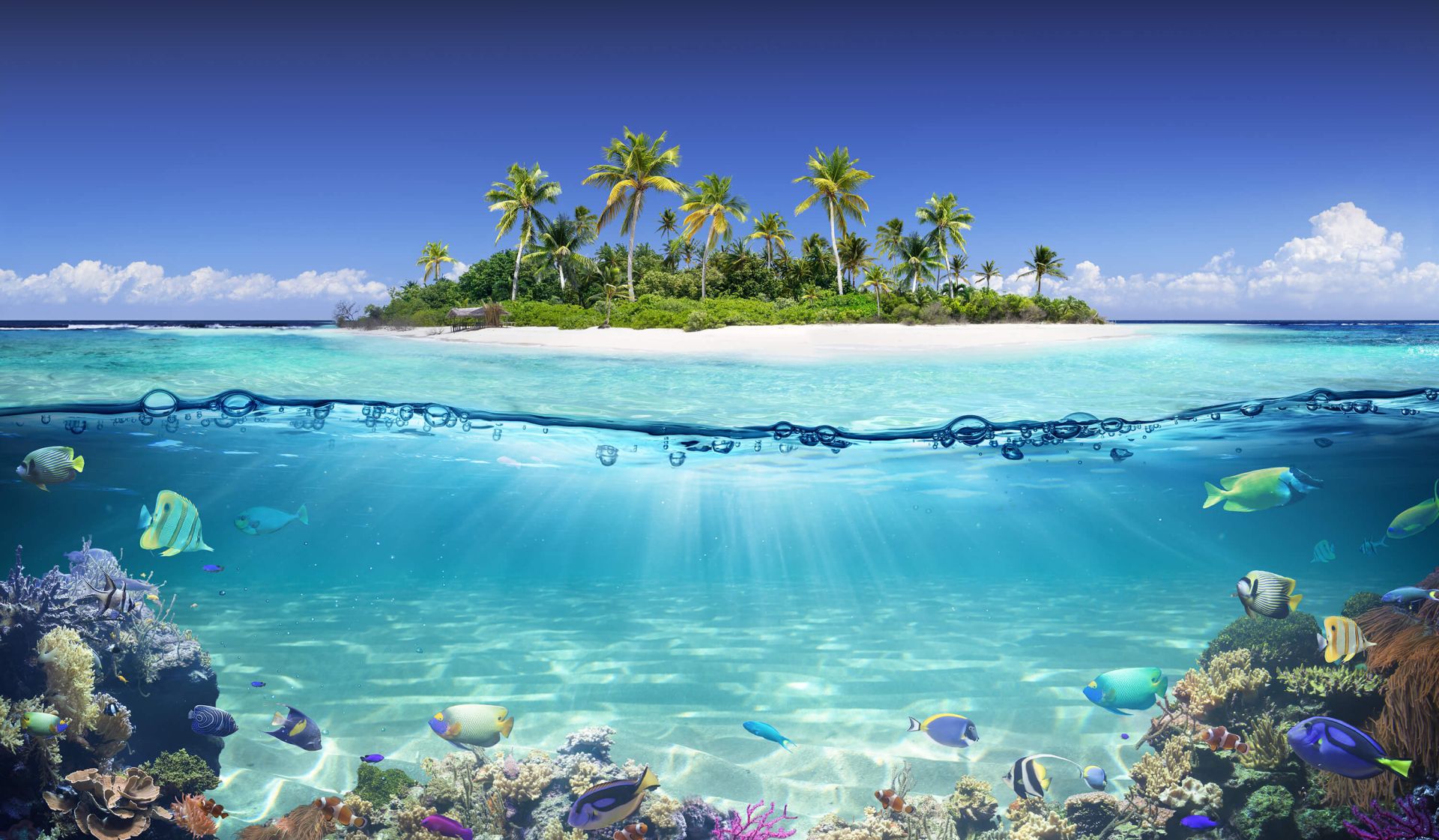 Ocean Reef Wallpapers - Wallpaper Cave - Eiland In De Grote Oceaan