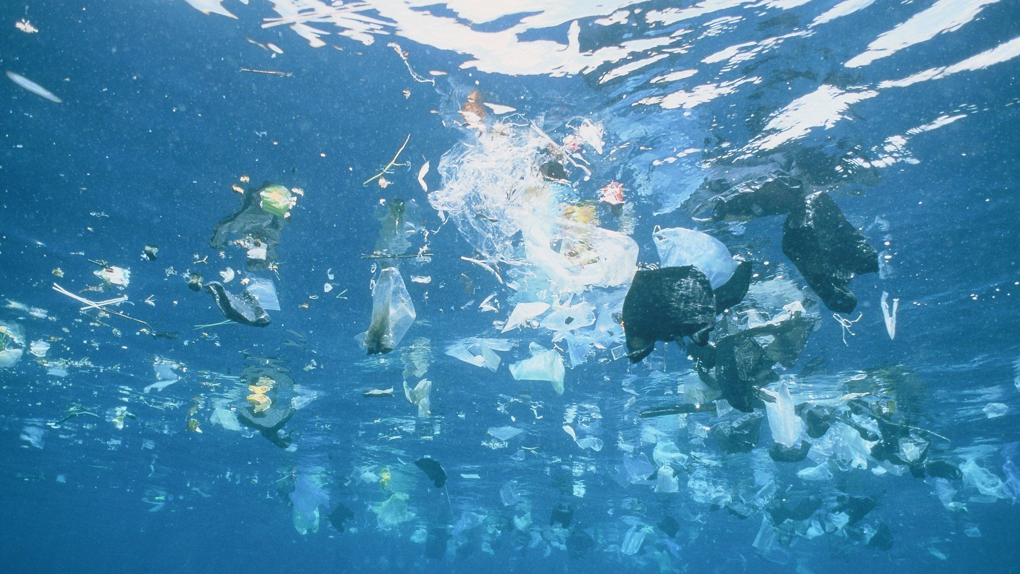 Oceans littered with 171 trillion plastic pieces - BBC News - Hoe Is Plastic Soep Ontstaan