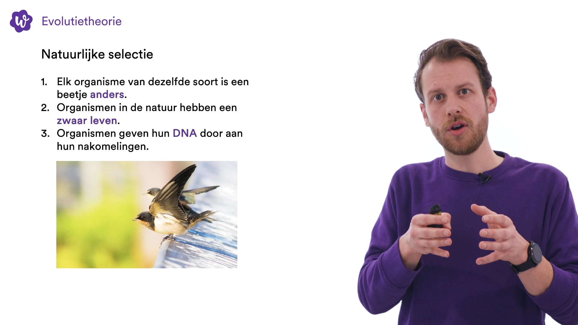 Oefen met Erfelijkheid en evolutie uit Biologie voor jou / bvj – 2/3 - Biologie Voor Jou Antwoorden 2 Havo Vwo