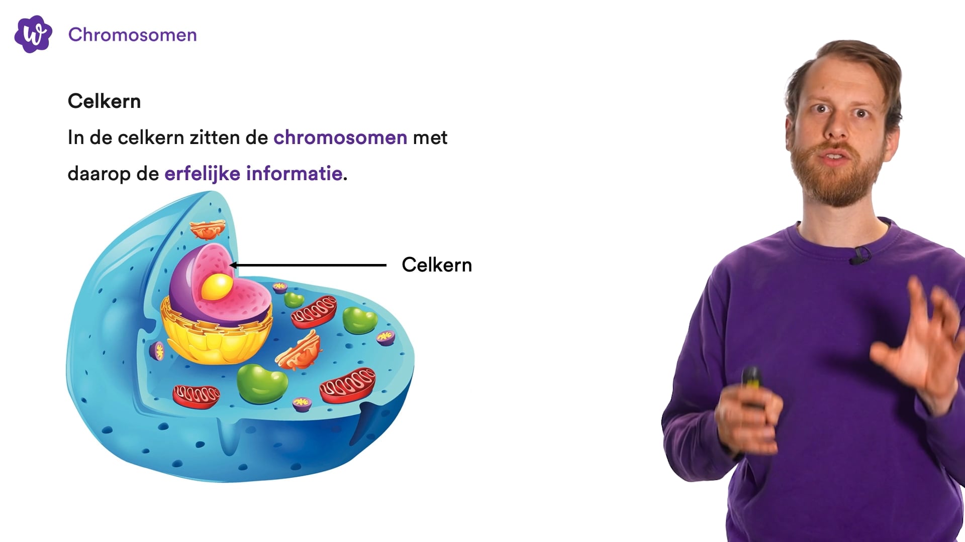 Oefen met Organen en cellen uit Biologie voor jou / bvj – 3 vmbo-t – 8 - Biologie Voor Jou Antwoorden Vmbo 3