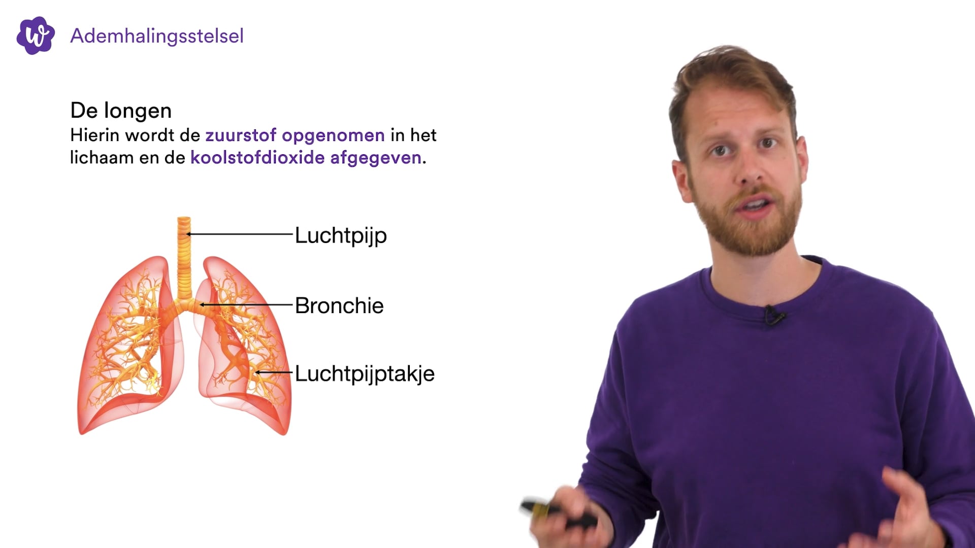 Oefen met Verbranding en ademhaling uit Biologie voor jou / bvj – 2/3 - Biologie Voor Jou Antwoorden Havo Vwo 2