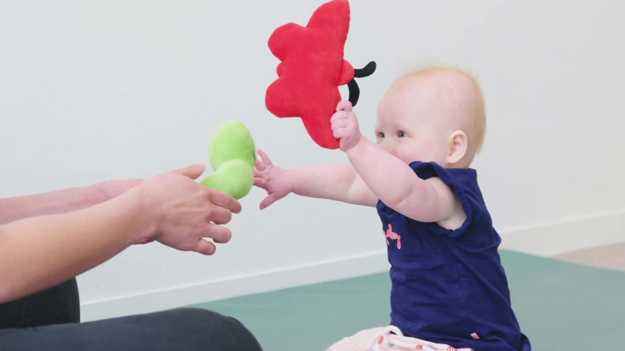 Oefening 12/12: Sociale ontwikkeling van je baby trainen. 9 – 12 - Motorische Ontwikkeling Baby 6 Maanden