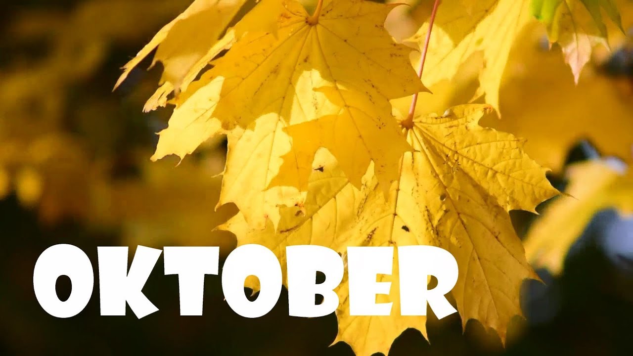 Oktober - YouTube - Wat Is Er Op 1 Oktober