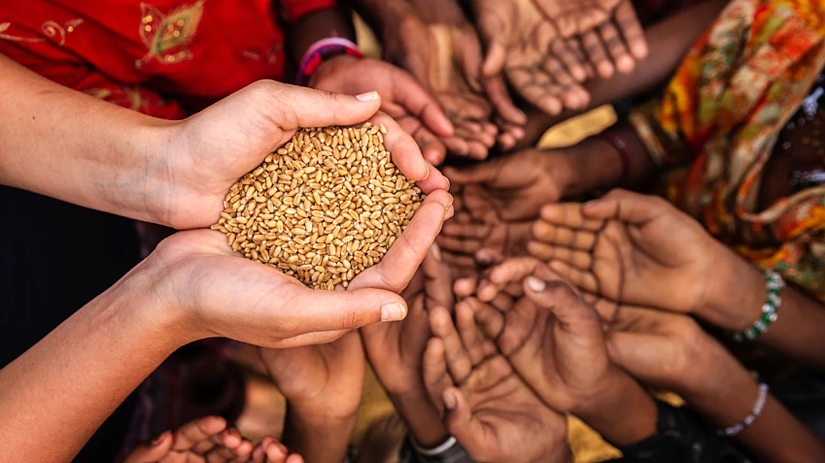 On World Hunger Day, 795 Million People Remain Undernourished - Hunger Games Ballad Of Songbirds And Snakes Boek