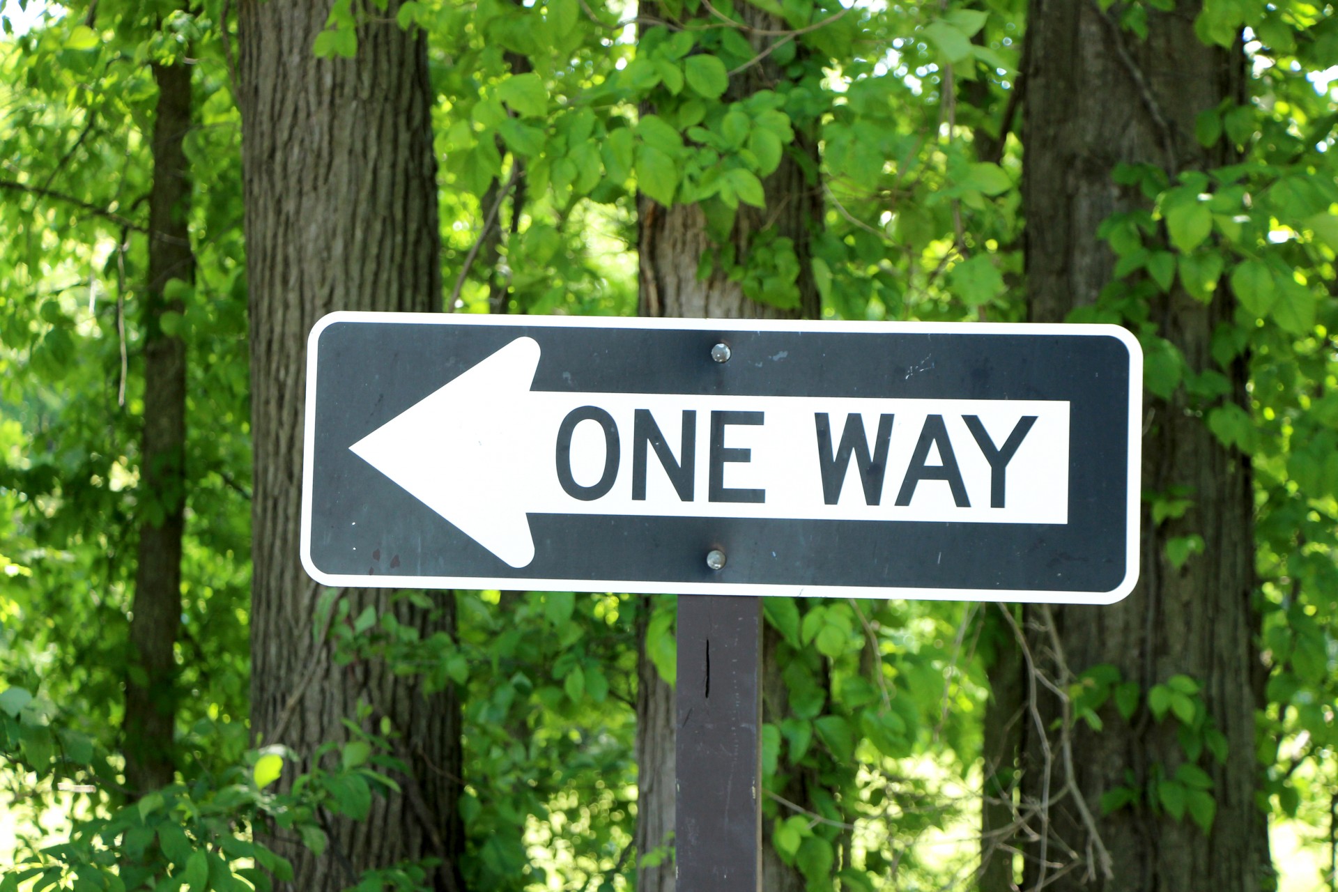 One Way Trees Free Stock Photo - Public Domain Pictures - One Of Us Is Lying Boek Samenvatting