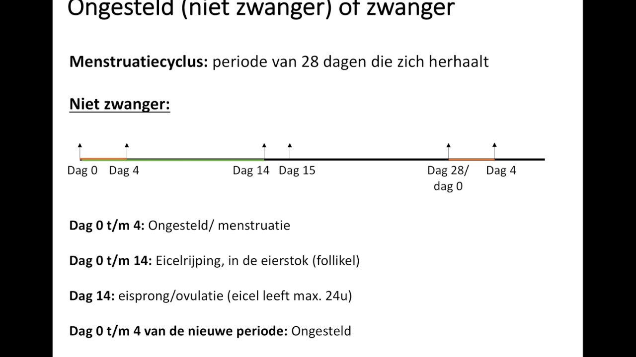 Niet Ongesteld En Niet Zwanger
