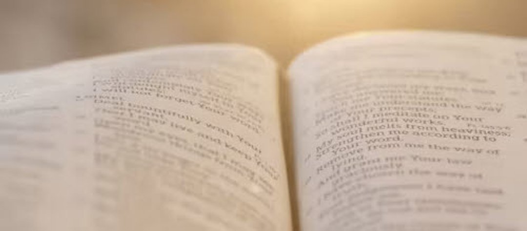 Het Boek Bijbel Online