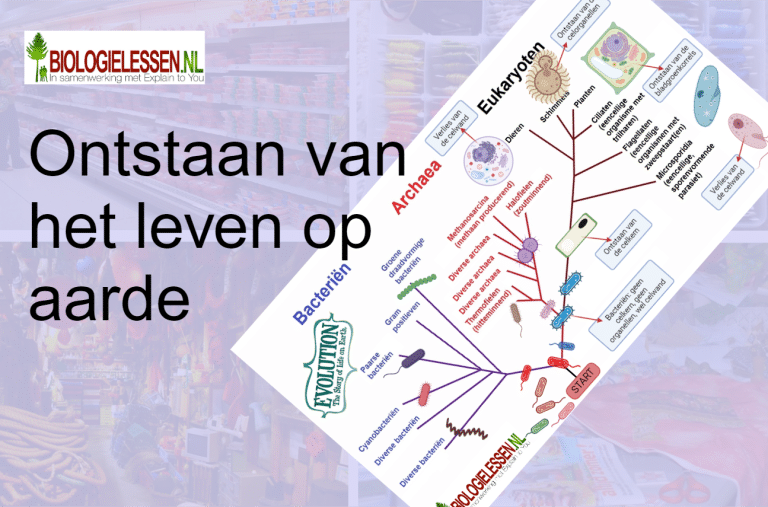 Ontstaan van leven op aarde - Biologielessen.nl - Ontstaan Van Leven Op Aarde