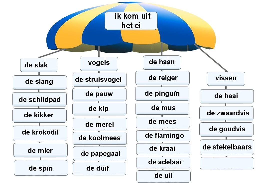 Onze woorden - Woorden Met Ij En Ei