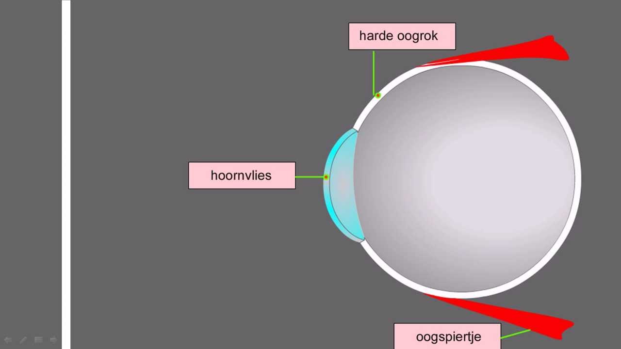 Wazig Zicht In 1 Oog