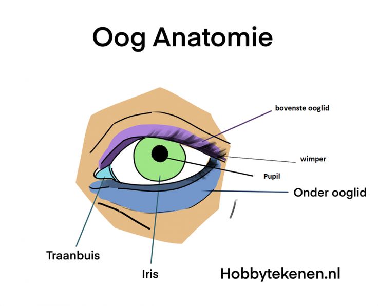 Zwart Voor De Ogen En Duizelig