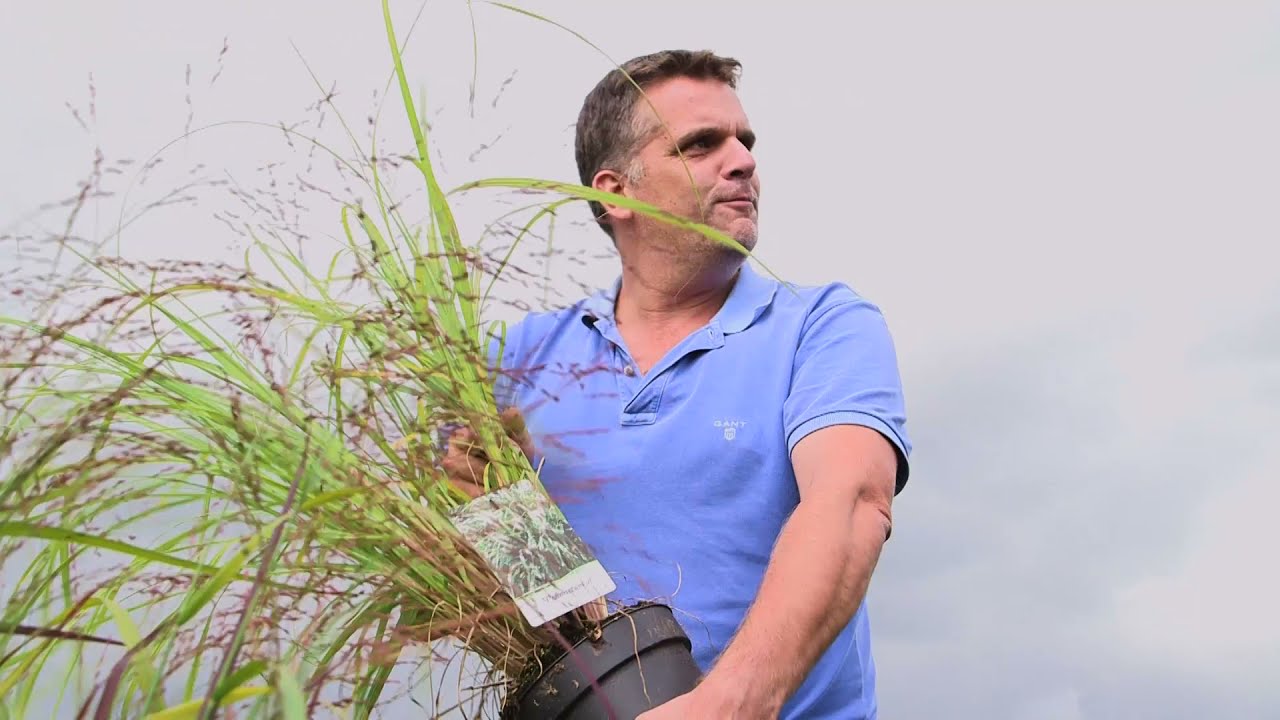 Ook moeite met Latijnse benaming van planten? - YouTube - Wat Is De Latijnse Benaming Voor Het Sterrenbeeld Vissen