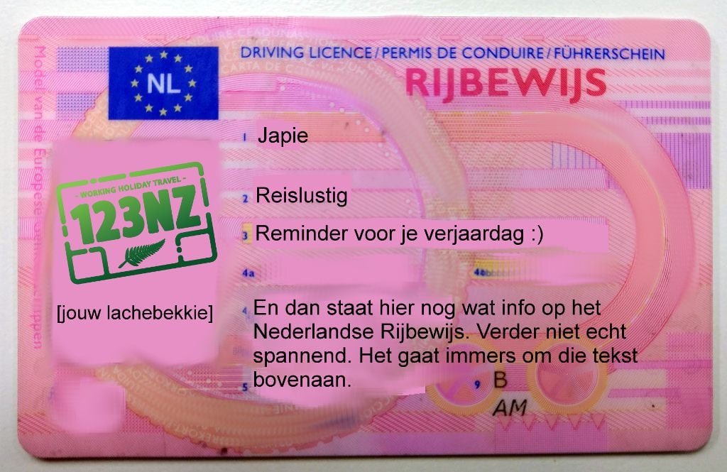 Op reis met je rijbewijs: van geldigheid tot nieuwe aanvragen - Rijbewijs Halen In Het Buitenland