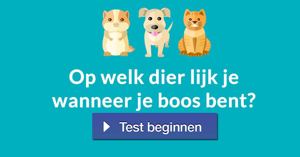 Op welk dier lijk je wanneer je boos bent? - Op Welk Dier Lijk Ik