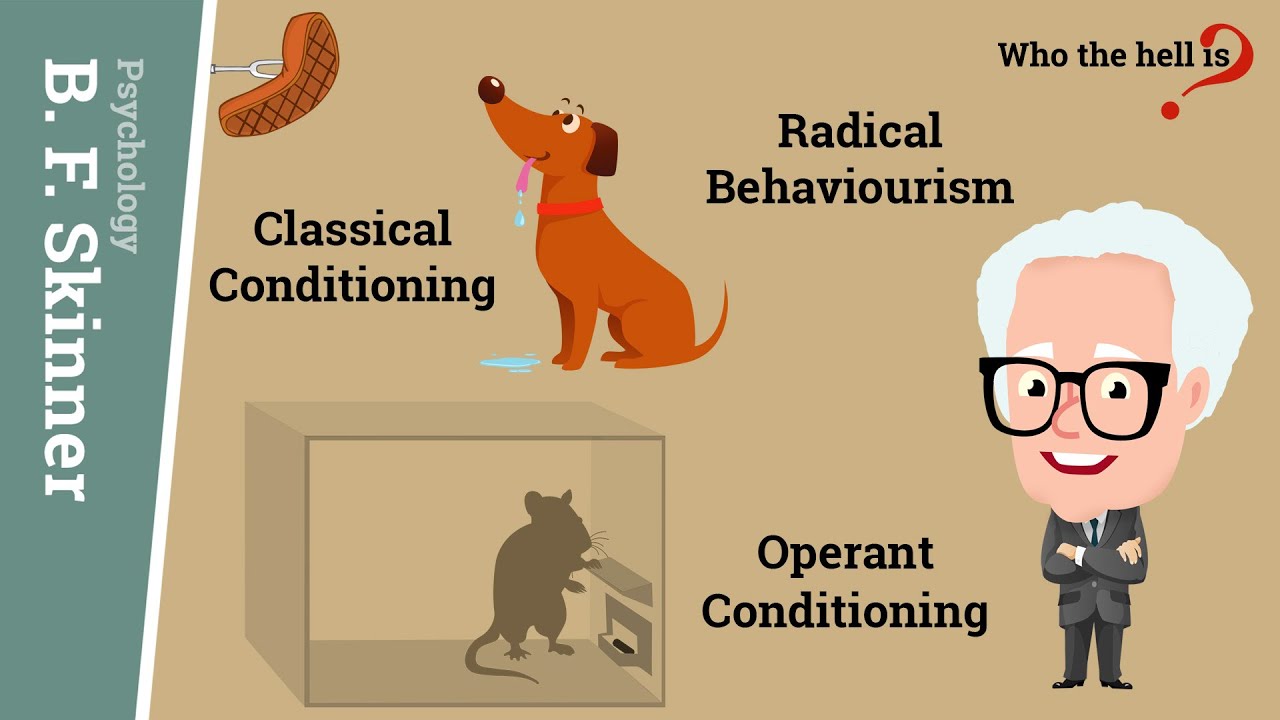 Operant Conditioning vs. Classical Conditioning in B.F. Skinner's - Verschil Klassieke En Operante Conditionering