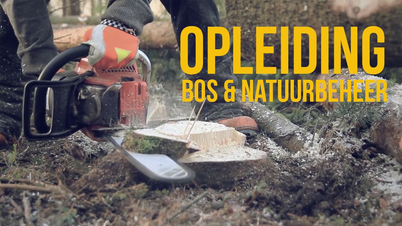 Mbo Opleiding Bos En Natuurbeheer