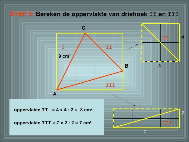 Oppervlakte Driehoek - Hoe Bereken Je De Oppervlakte Van Een Driehoek