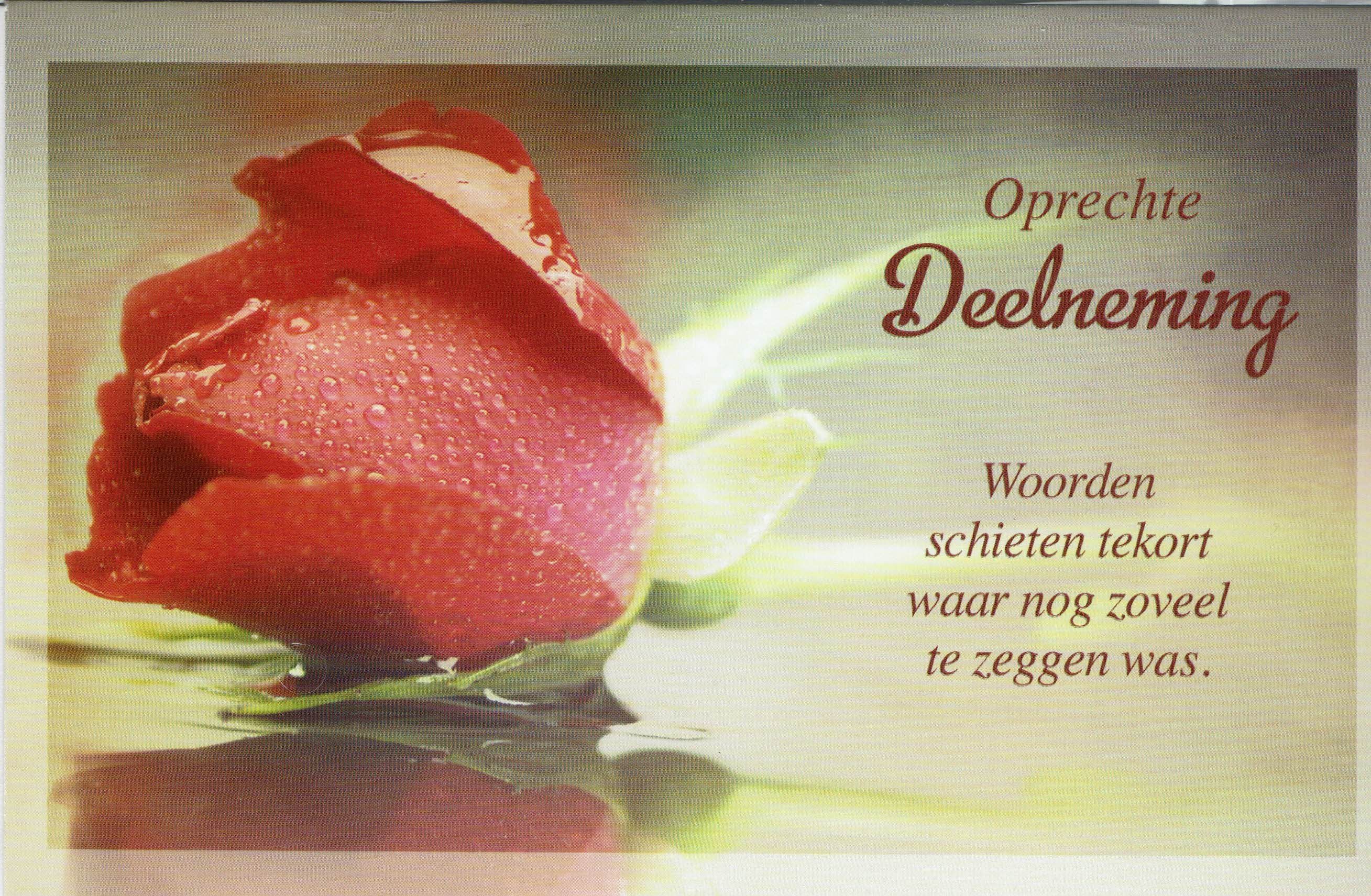 Oprechte deelneming kaart met mooie roos - Geen Woorden Voor Dit Verlies
